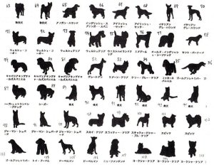 画像9: ハウスサイン　ファミリー