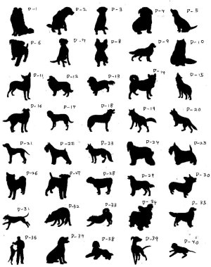 画像4: ハウスサイン　ファミリー